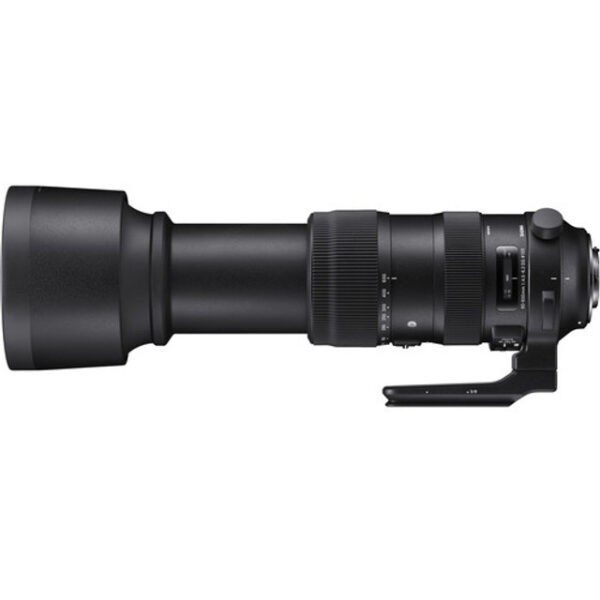 Sigma 60-600mm f/4.5-6.3 DG OS HSM Sports Lens - Image 2