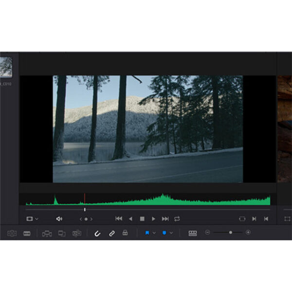 Blackmagic Design DaVinci Resolve 16 Studio (Activation Card) - Image 14