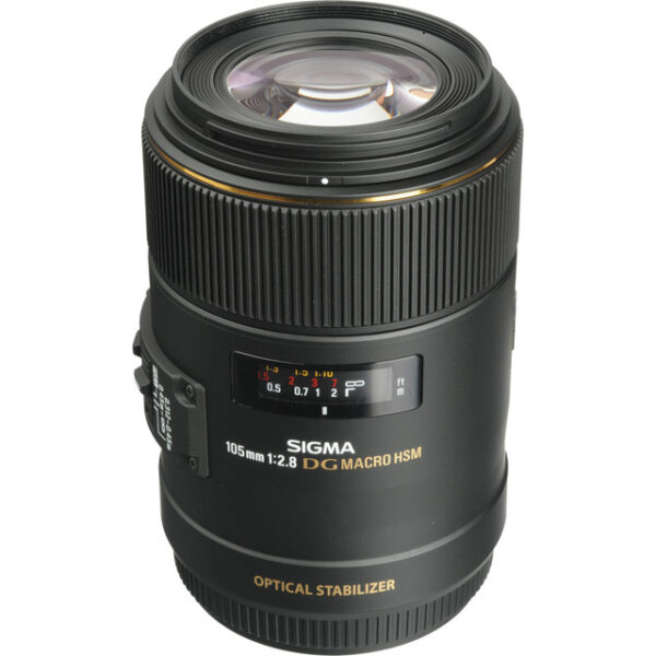 Sigma 105mm f/2.8 EX DG OS HSM Macro Lens - Image 3
