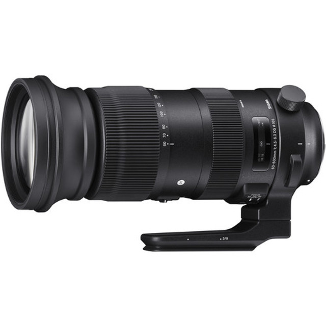 Sigma 60-600mm f/4.5-6.3 DG OS HSM Sports Lens