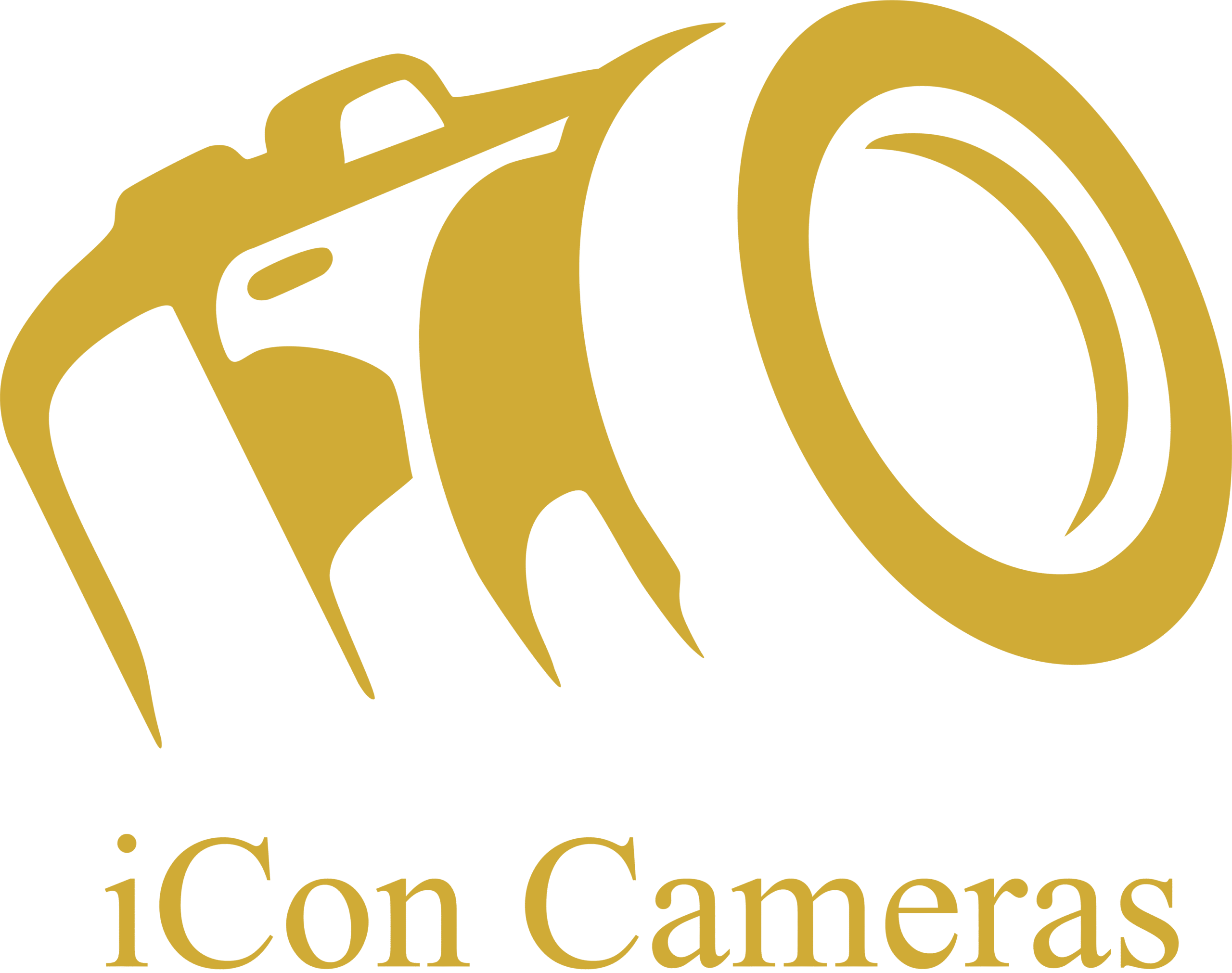 iCon Cameras